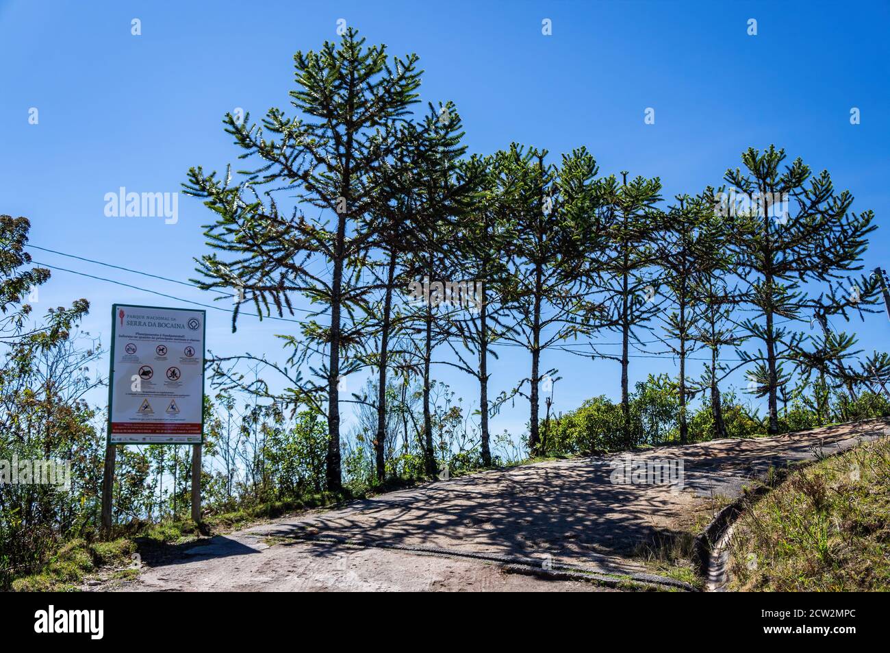 Affiancato da alberi in curva a destra, in prossimità della fine del sentiero escursionistico che conduce a Pedra da Macela, osservando lo sport nel parco nazionale della Serra da Bocaina. Foto Stock