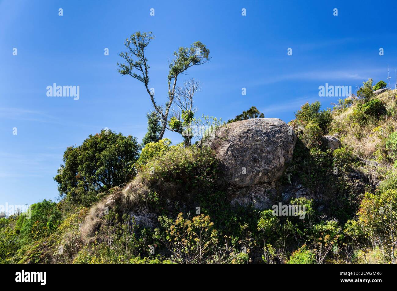 La vegetazione verde che cresce attorno ad una grande pietra vicino alla cima di Pedra da Macela punti di osservazione sotto il cielo azzurro e soleggiato, all'interno del parco Serra da Bocaina Foto Stock