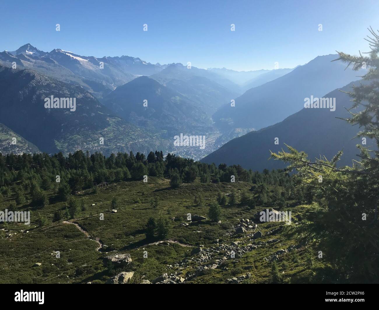 Vista mattutina dal Gebidum verso Briga e la parte superiore Valle del Rodano in Svizzera Foto Stock