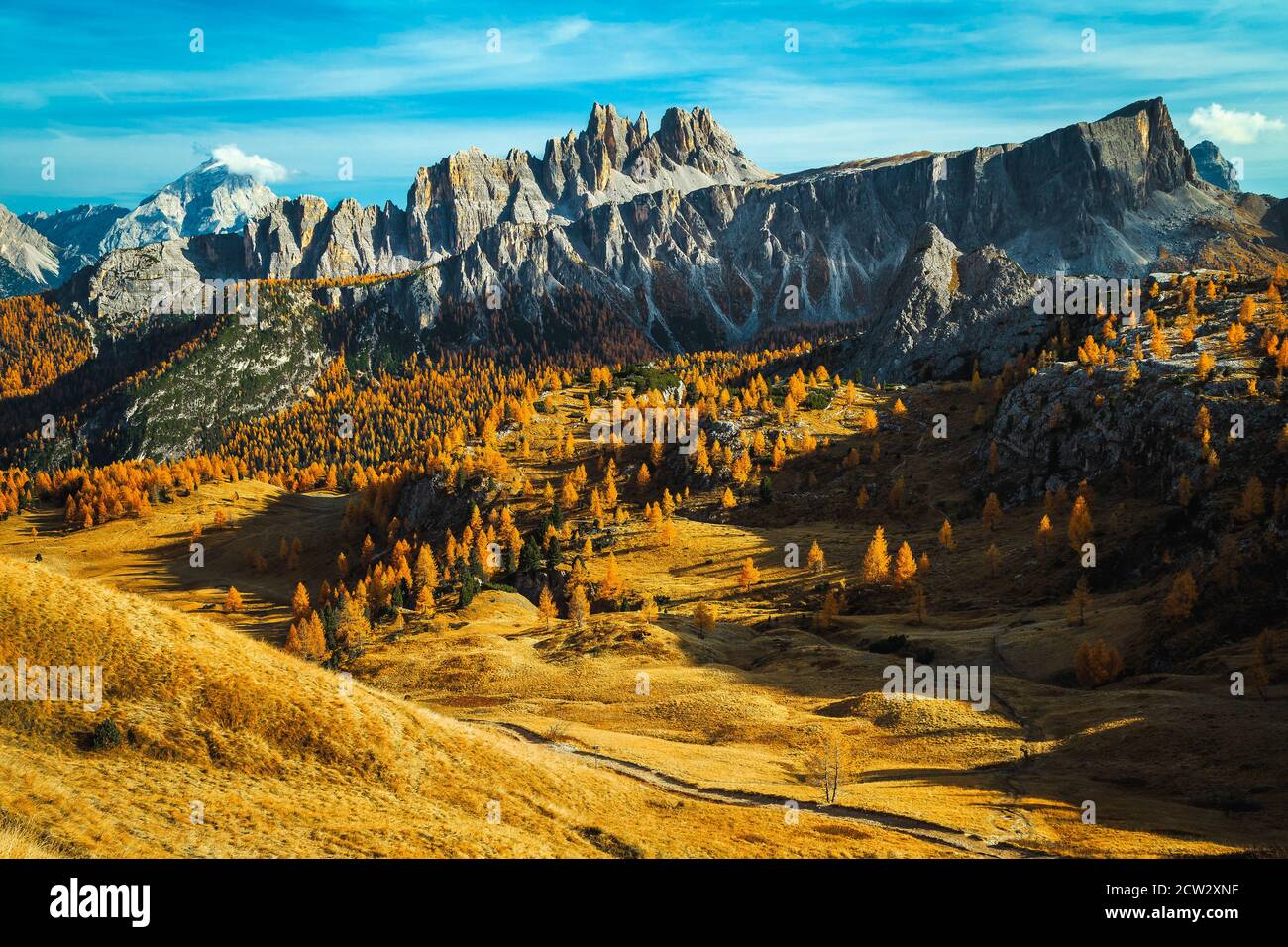 Maestoso scenario alpino autunnale con colorata foresta di sequoie e pittoresche montagne sullo sfondo, Dolomiti, Italia, Europa Foto Stock