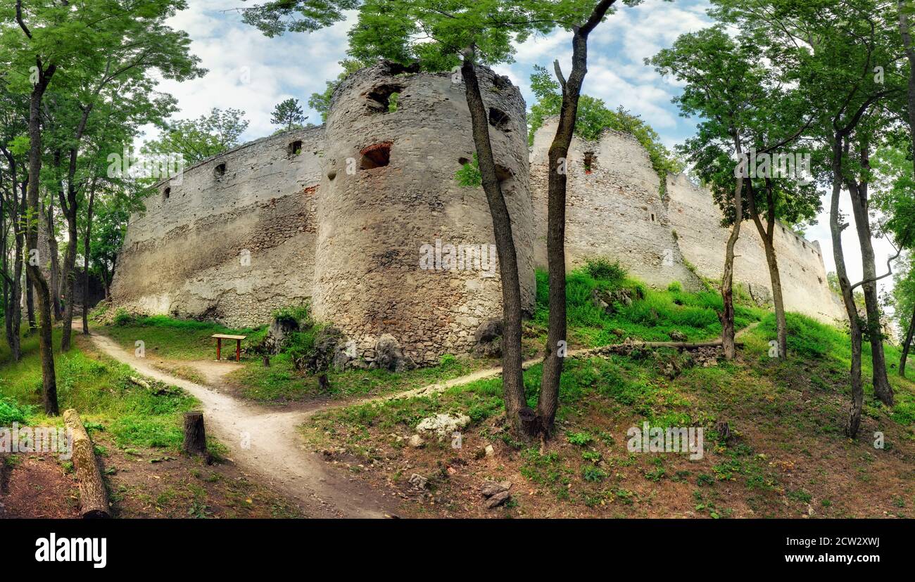 Slovacchia - rovine del castello Dobra Voda Foto Stock