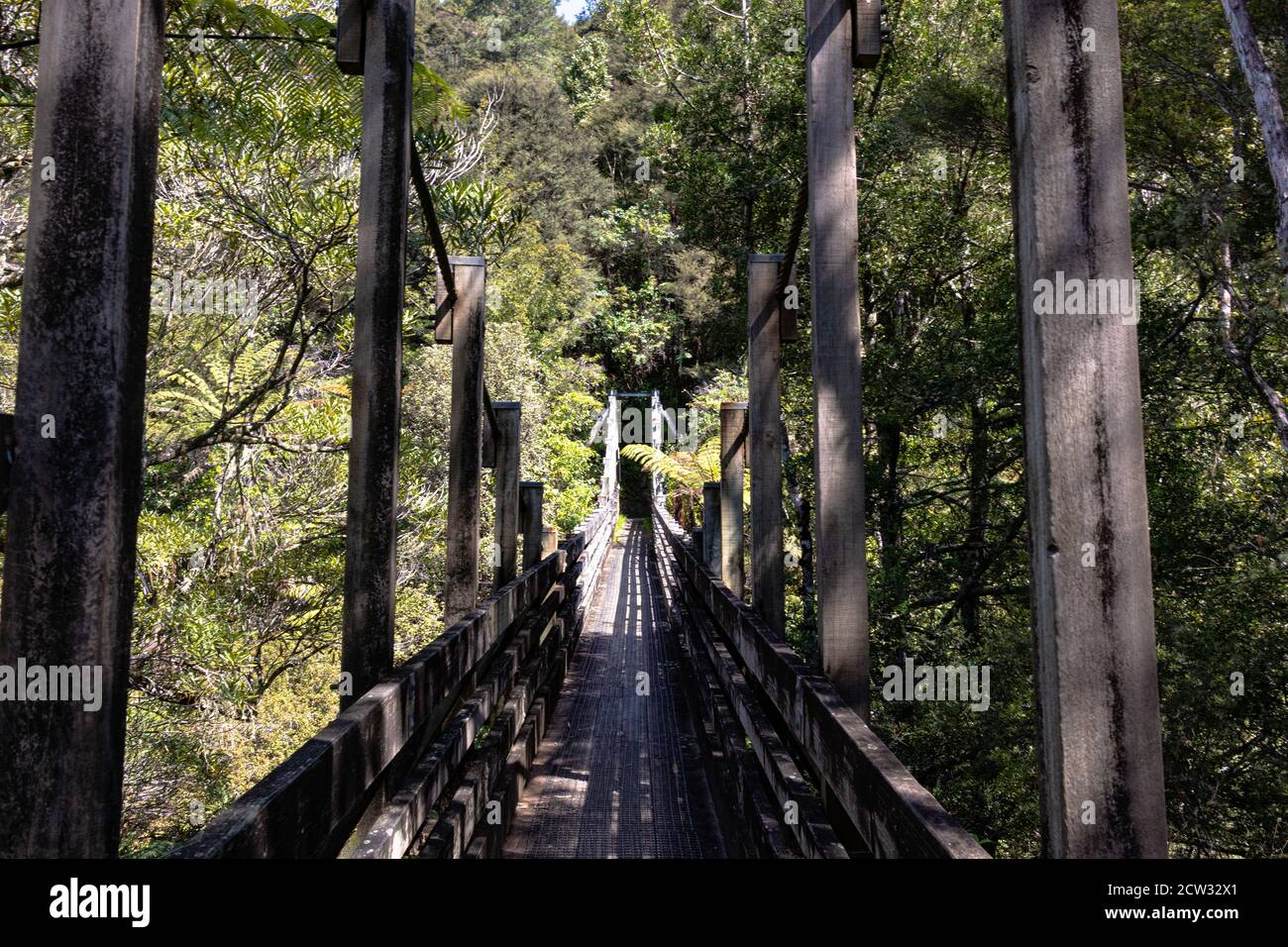 Wairoa Stream Suspension Bridge, Hunua Ranges Regional Park Foto Stock