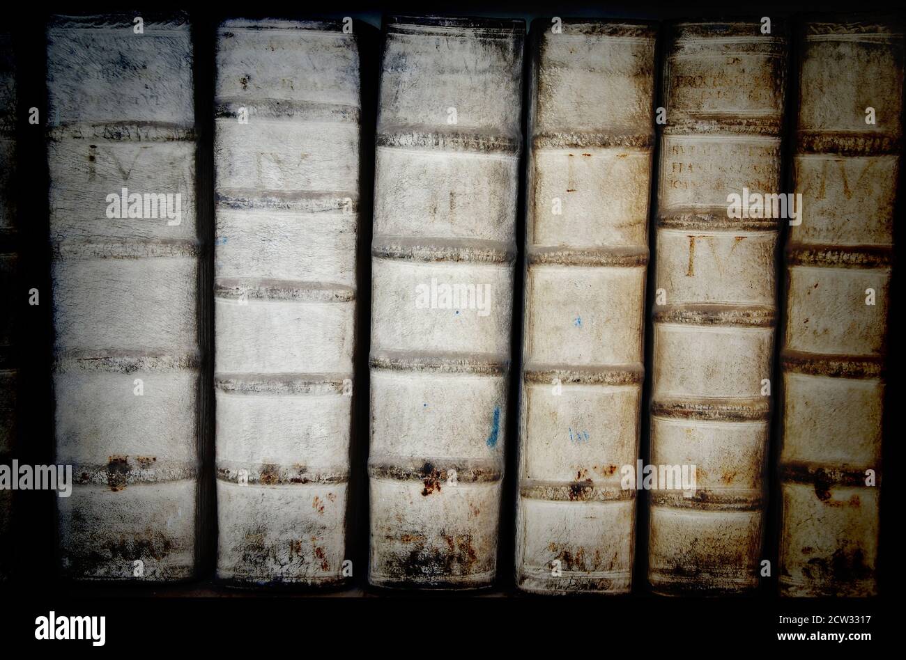 Dettaglio di antiche dorsali del libro - tomes in latino da 17 ° secolo Foto Stock