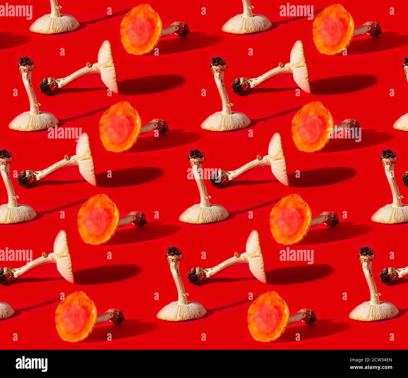Modello di Fly funghi agarici su sfondo rosso Foto Stock