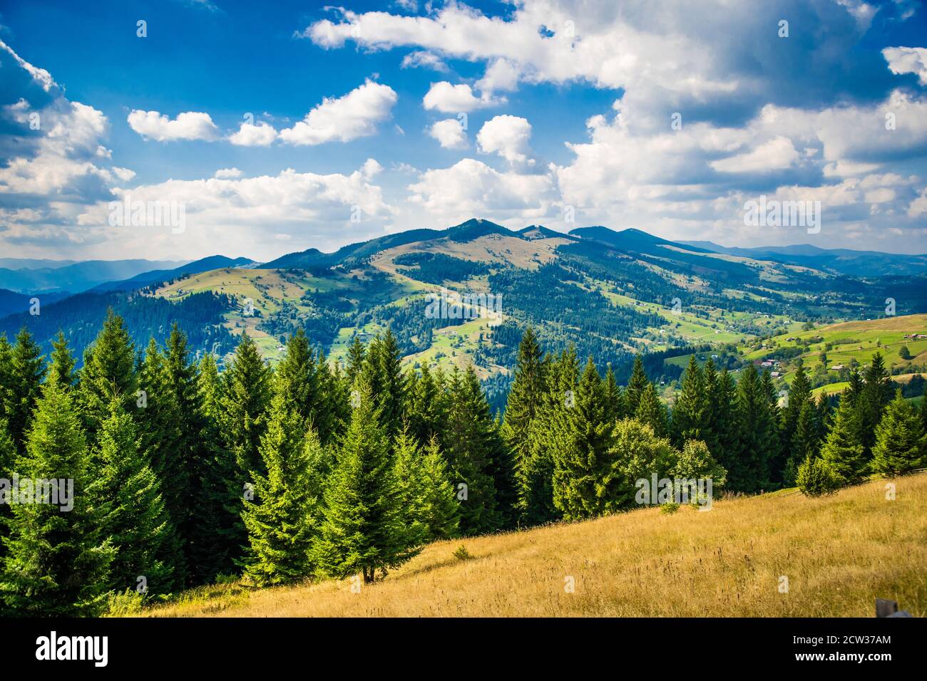 Catena montuosa dei Carpazi a ovest dell'Ucraina Foto stock - Alamy