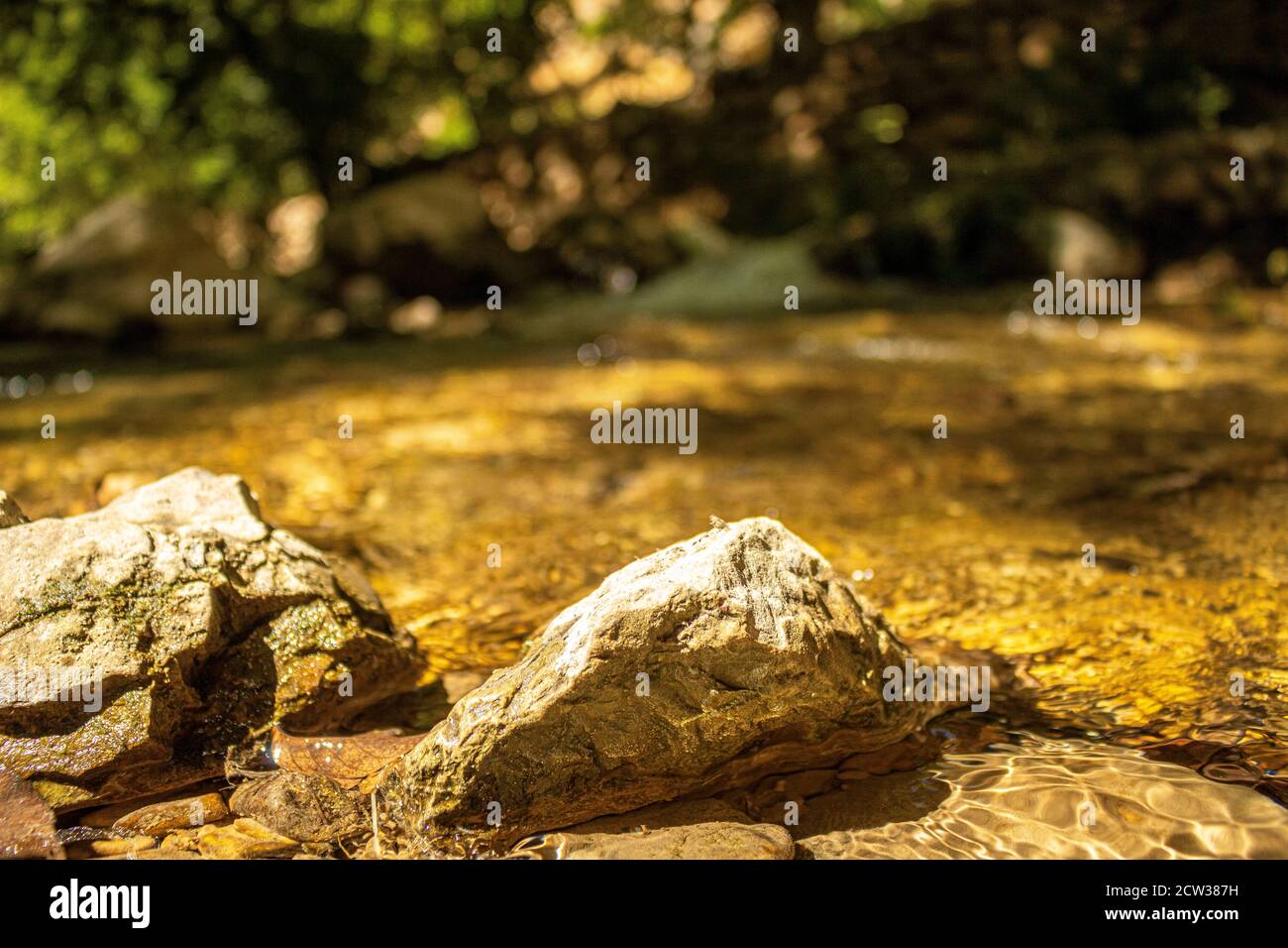 Diretta streaming Foto Stock