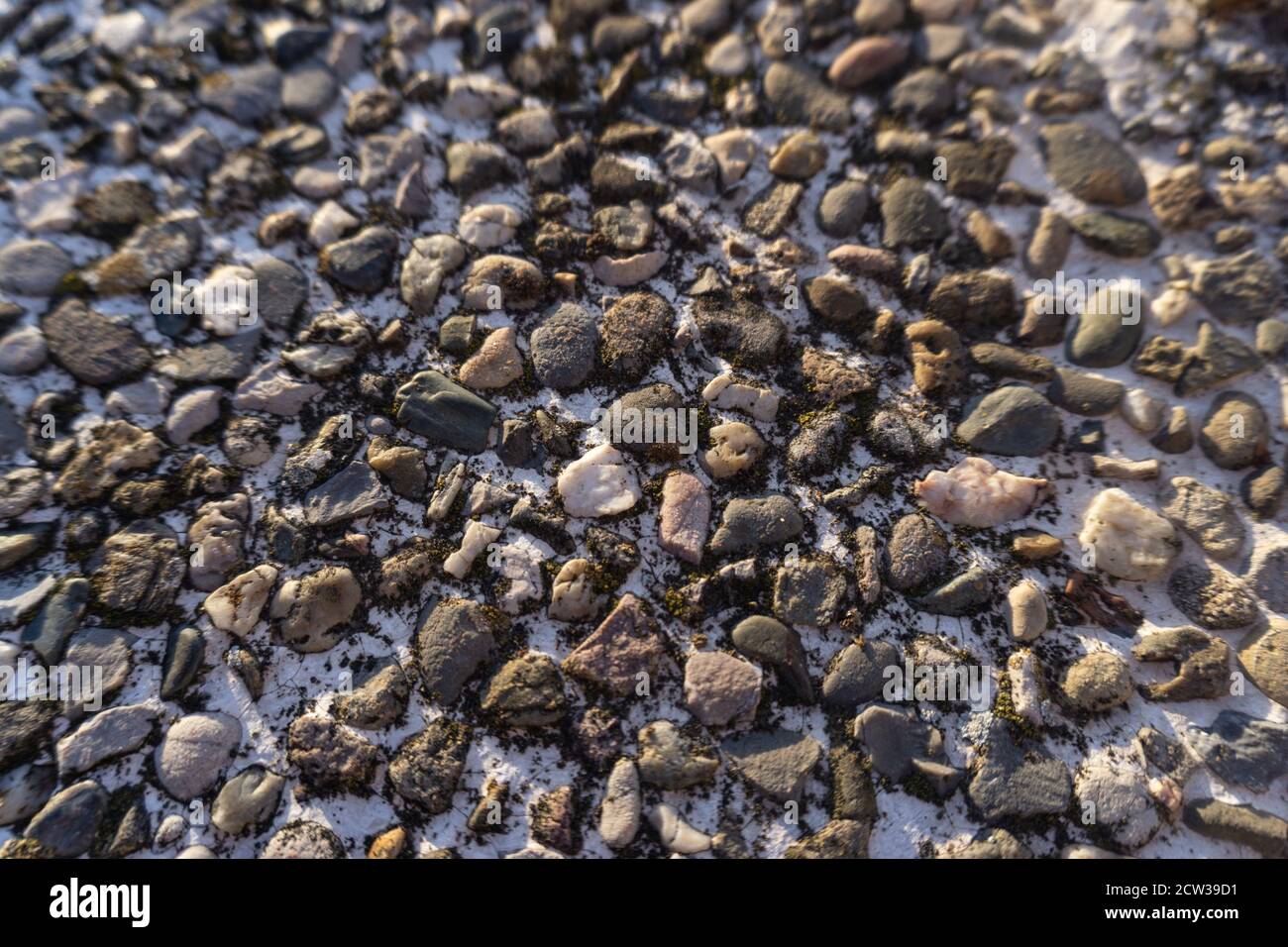 Struttura di pavimento in cemento con ciottoli, pietre grigie Foto Stock