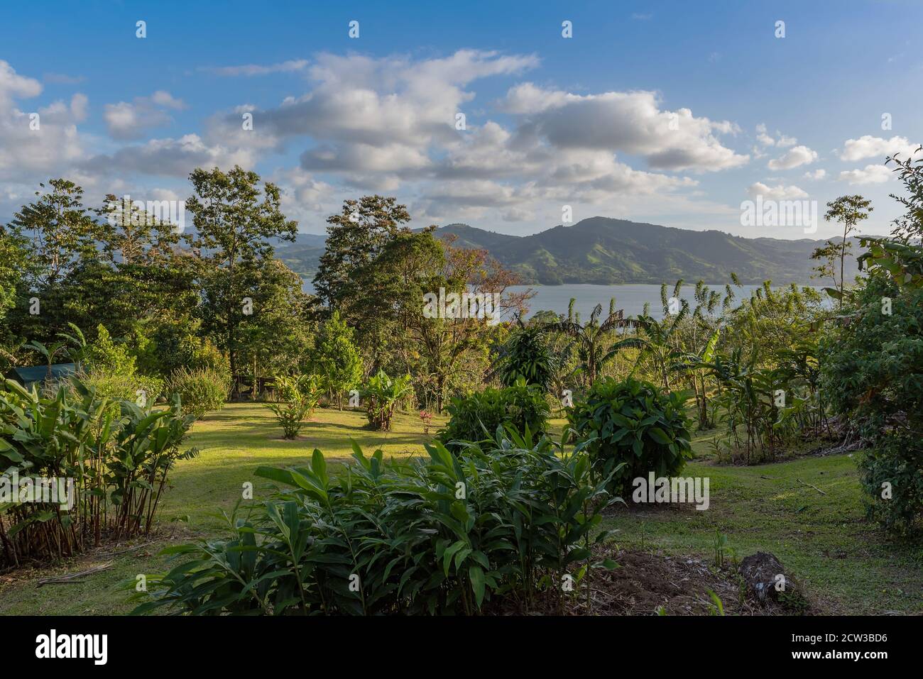 Parco sulla riva nord del lago Arenal in Costa Rica Foto Stock