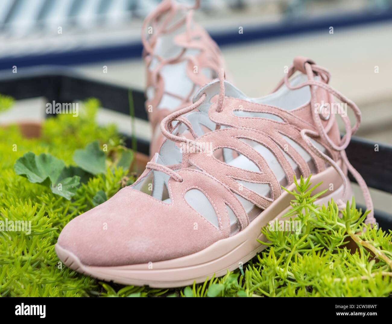 Scarpe da ginnastica rosa donna primo piano Foto Stock