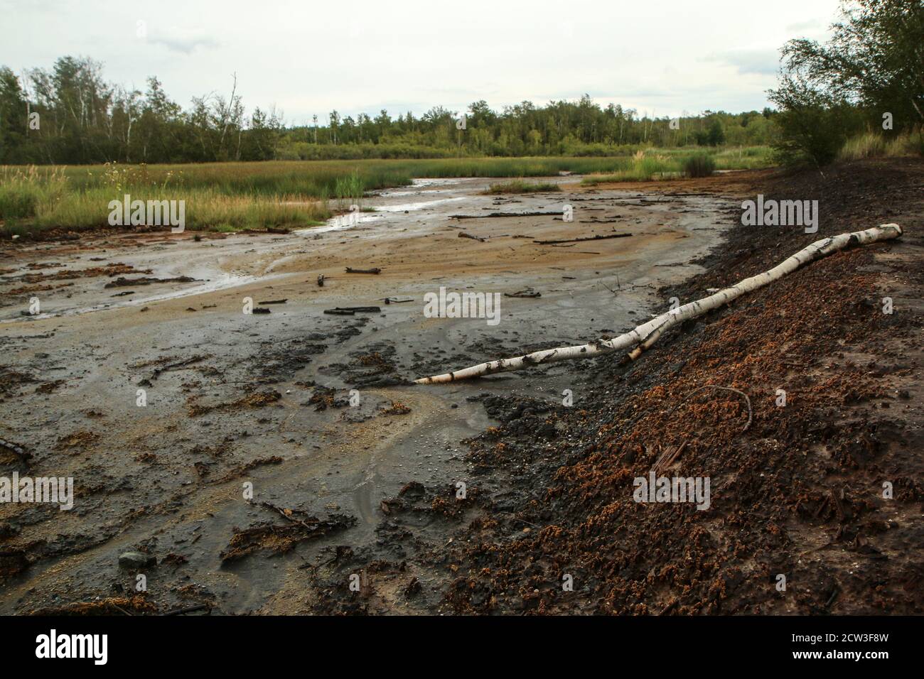 La foto dall'area protetta nazionale della Repubblica Ceca chiamata SOOS. L'ex zona di estrazione della torba. Foto Stock