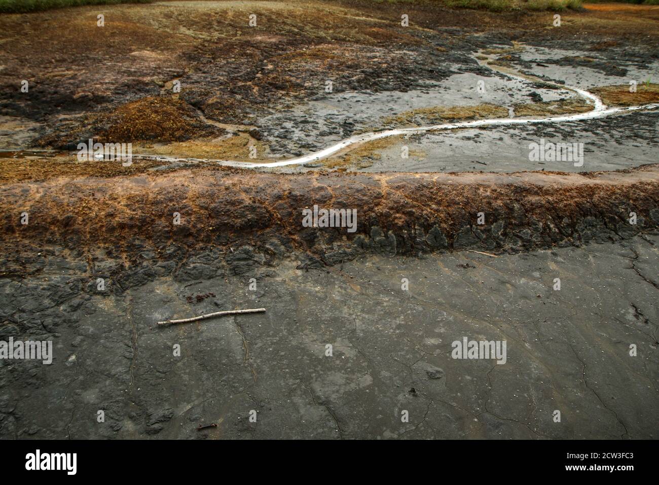 La foto dall'area protetta nazionale della Repubblica Ceca chiamata SOOS. L'ex zona di estrazione della torba. Foto Stock