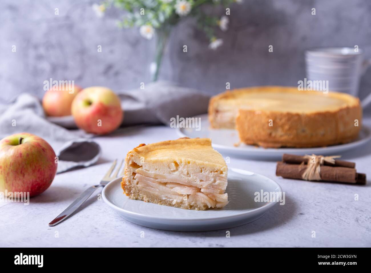 Torta di mele con cannella e panna acida. Cottura fatta in casa. Torta russa tradizionale. Primo piano. Foto Stock