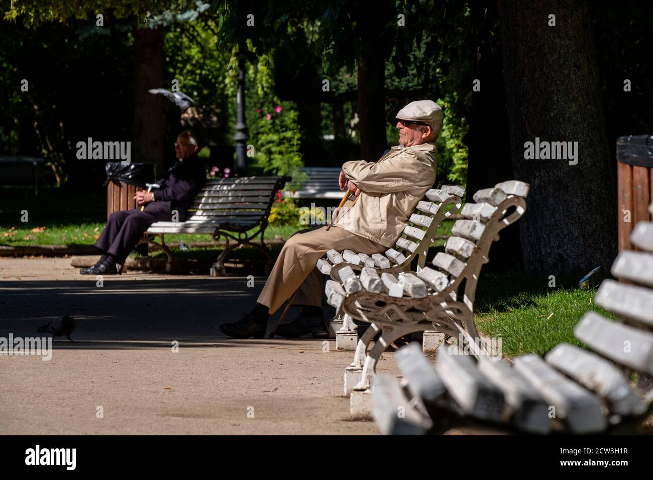 Anciano descansando al sol, parque de la Alameda de Cervantes, la Dehesa, Soria, Comunidad Autónoma de Castilla, Spagna, Europa Foto Stock