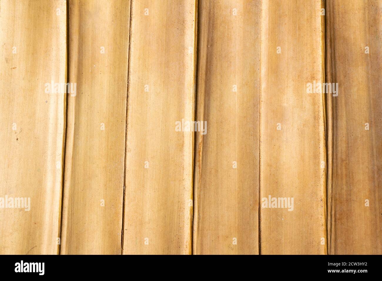 Brown graffiato tagliere di legno. Texture di legno Foto Stock