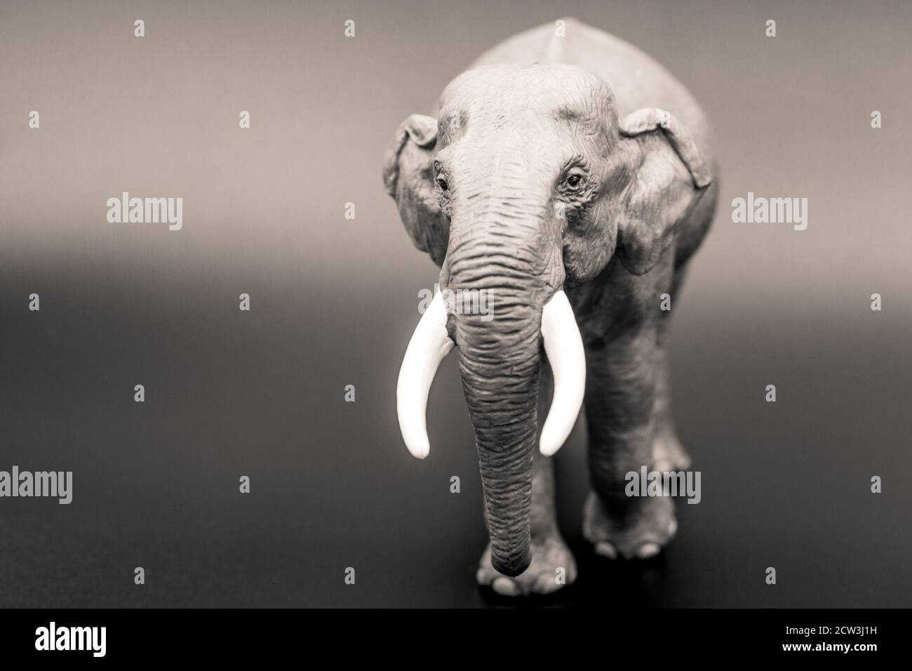 Un primo piano di un elefante giocattolo preso in nero e bianco Foto Stock