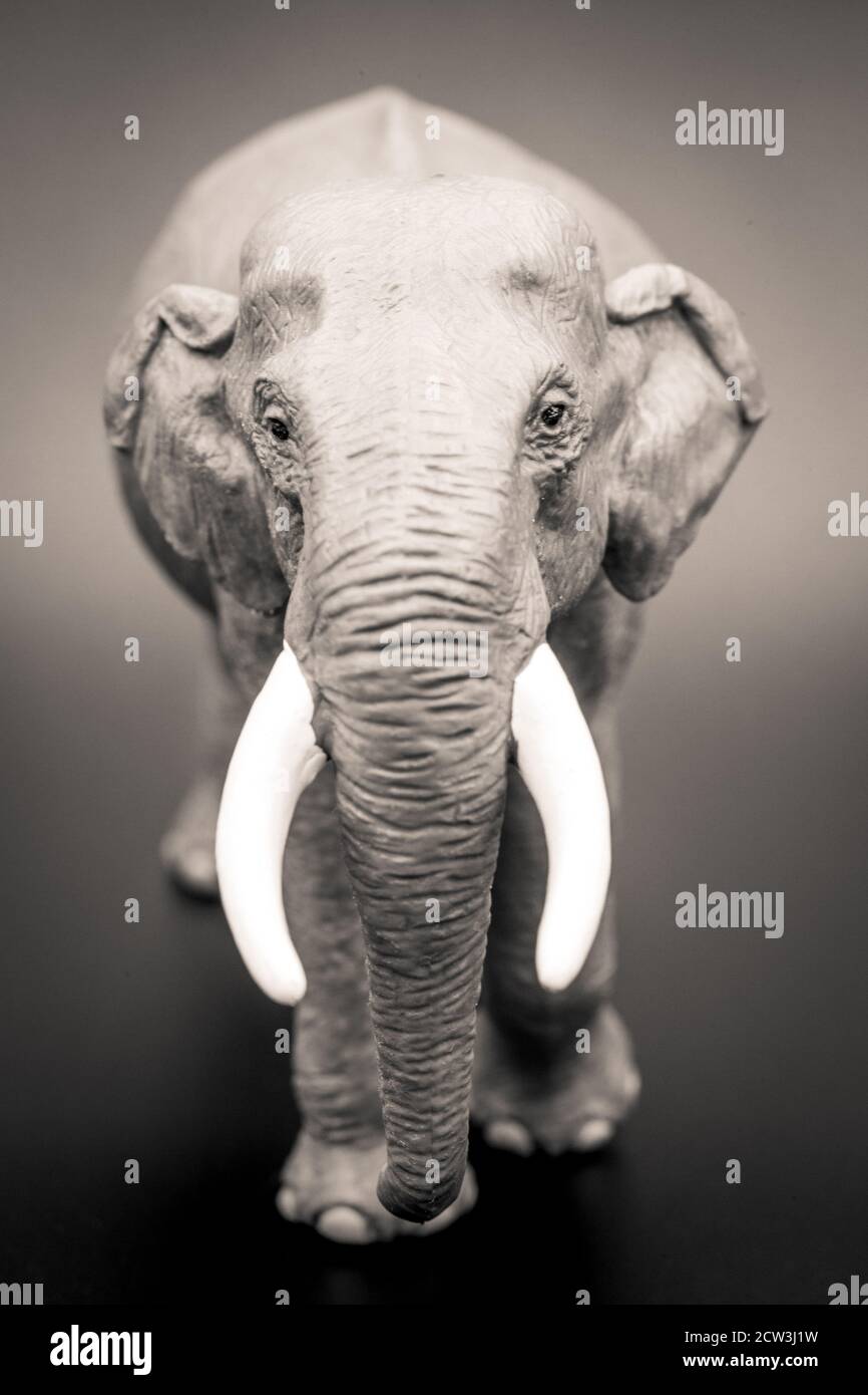 Un primo piano di un elefante giocattolo preso in nero e il bianco utilizzando la messa a fuoco selettiva Foto Stock