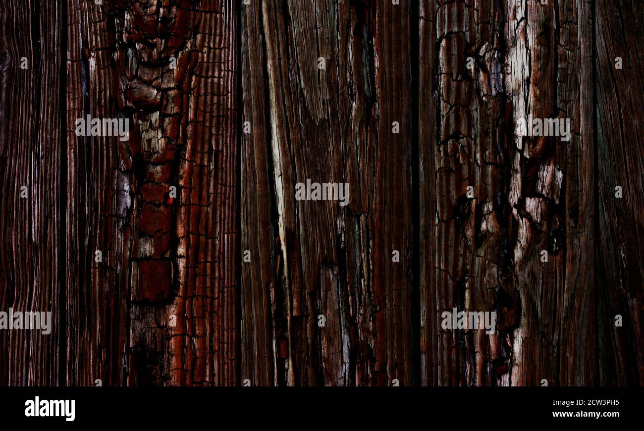 Marrone naturale legno di fondo texture Foto Stock