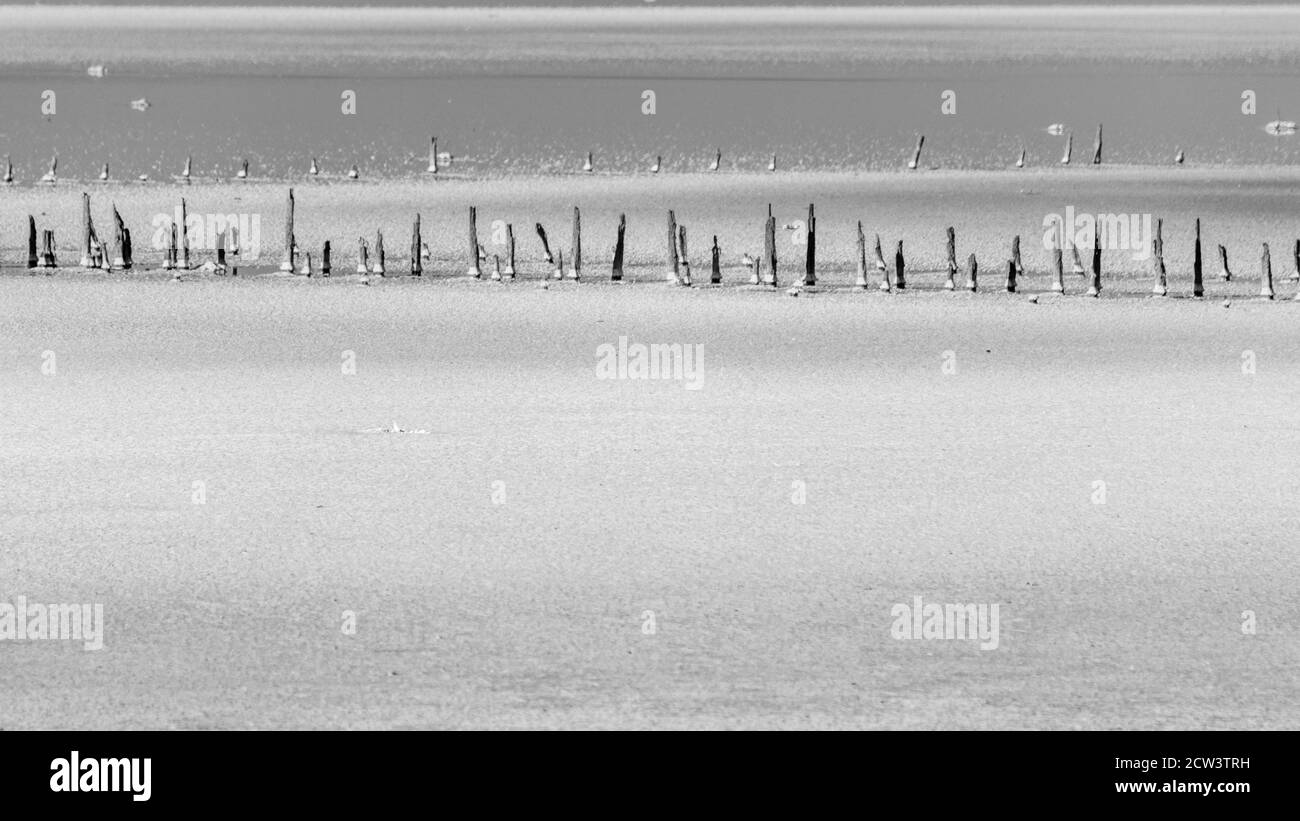 Vista ravvicinata della superficie del lago salato con acqua in scala di grigi. Spa cure mediche naturali cristallo procedure resort in Ucraina, Henichesk. Bianco e nero Foto Stock