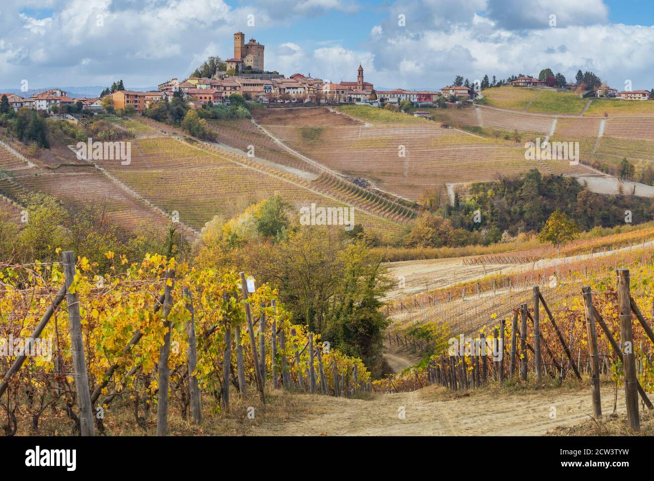 Vigneti, vicino a Alba Langhe, Piemonte, Italia Foto Stock