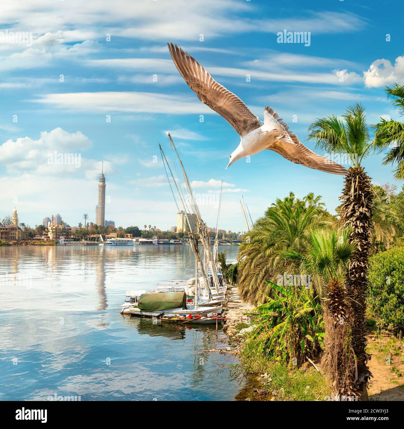 Nilo e il Cairo panorama di giorno. Egitto Foto Stock