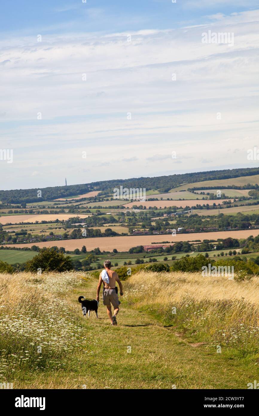 Cane uomo a piedi sul sentiero nazionale Ridgeway a lunga distanza Sentiero a Brush Hill sopra Princes Risborough Chilterns Buckinghamshire Foto Stock