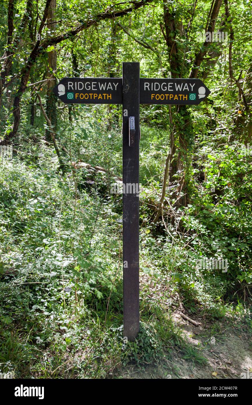 Segnate il segnavia posto sul sentiero a lunga distanza Ridgeway Nelle colline del Chiltern Buckinghamshire Inghilterra Foto Stock