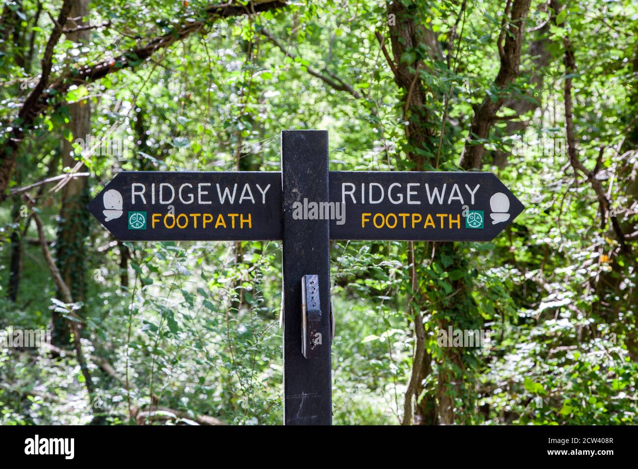 Segnate il segnavia posto sul sentiero a lunga distanza Ridgeway Nelle colline del Chiltern Buckinghamshire Inghilterra Foto Stock