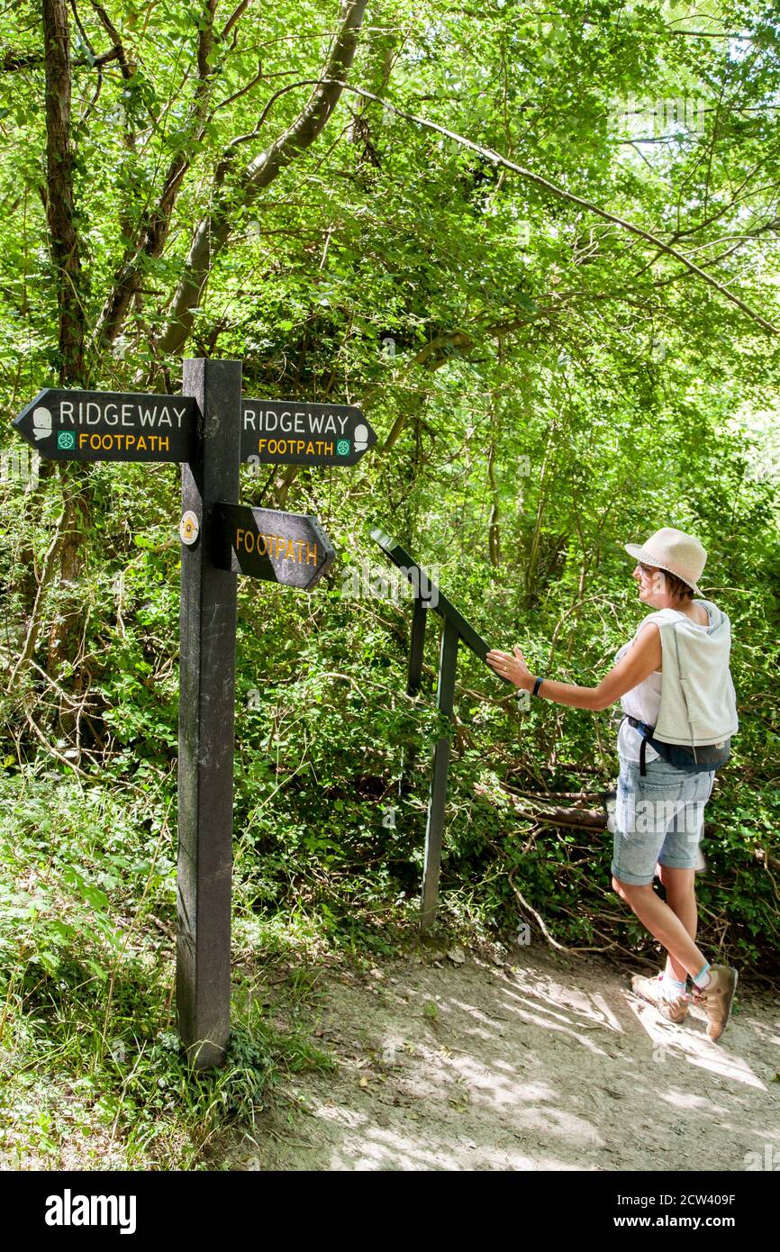 Donna che legge segno dopo indicatore di rotta sulla Ridgeway lunga distanza Sentiero pedonale nelle colline del Chiltern Buckinghamshire Inghilterra Foto Stock