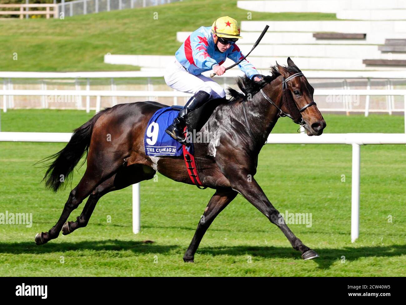 Un passo troppo lontano guidato da Adam Farragher vincere gli pneumatici Heffernan Joe McGrath handicap durante il secondo giorno del Festival d'autunno all'Ippodromo di Curragh. Foto Stock