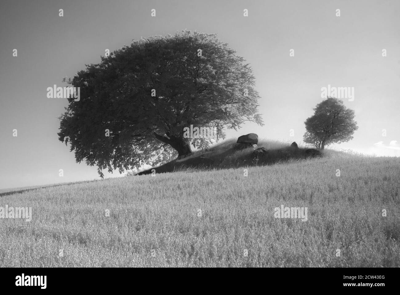 Catturato in Danimarca, tomba preistorica in pietra Foto Stock