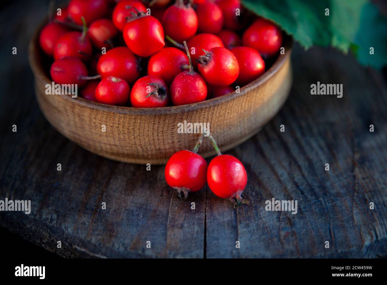 Biancospino in una ciotola di legno sul tavolo. Una pianta medicinale simile alla rosa selvatica. Ancora vita con posto per il testo. Vendemmia. Spazio di copia. Foto Stock