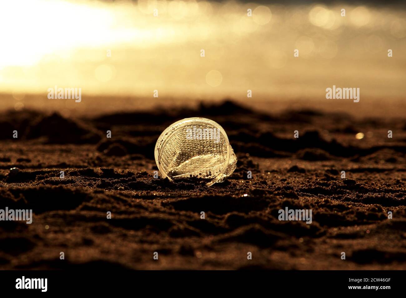 Tutto quello che luccica non È BUONO Foto Stock