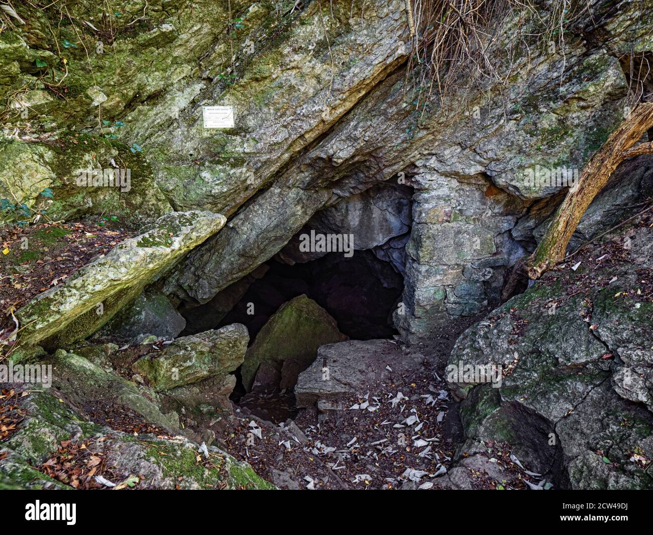 Ingresso alla Goatchurch Cavern, un esteso sistema di grotte vicino a Burrington Combe nel Mendip Hills Somerset Regno Unito Foto Stock