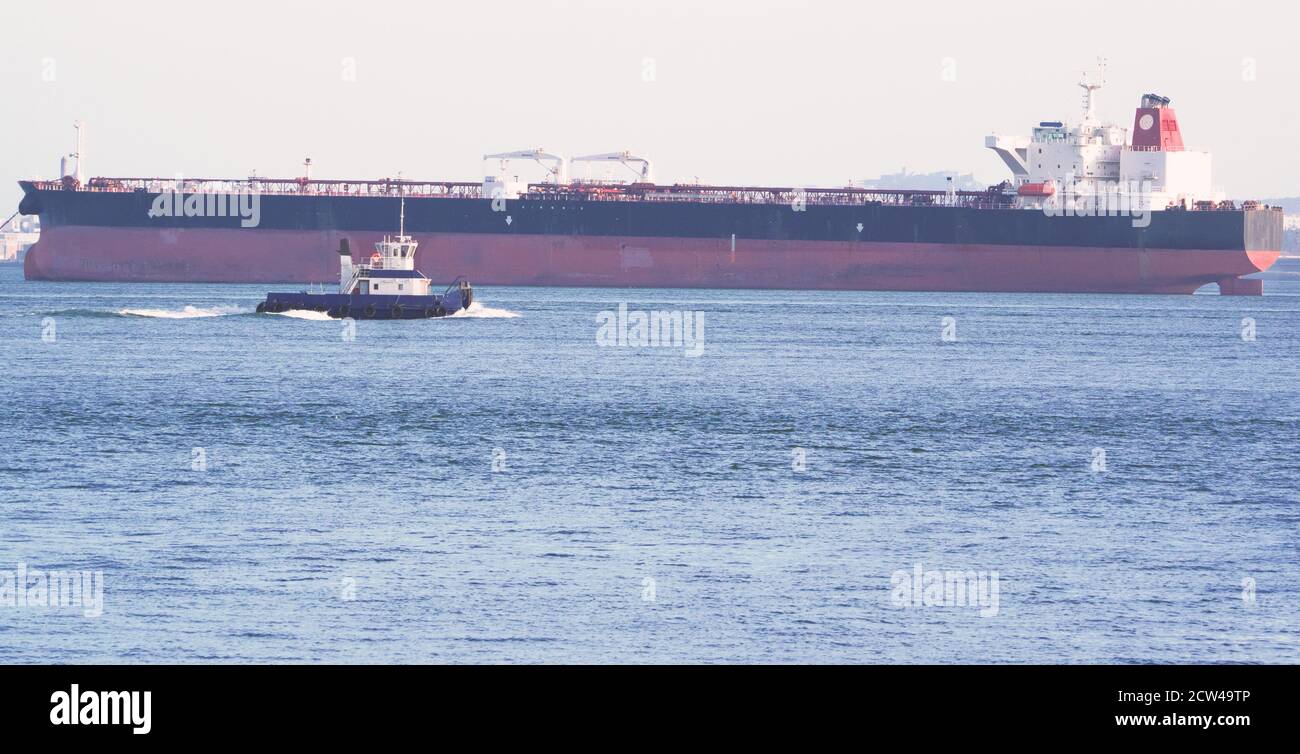 si raggiunge la nave da trasporto lunga in attesa di entrare nel porto con un rimorchiatore Foto Stock