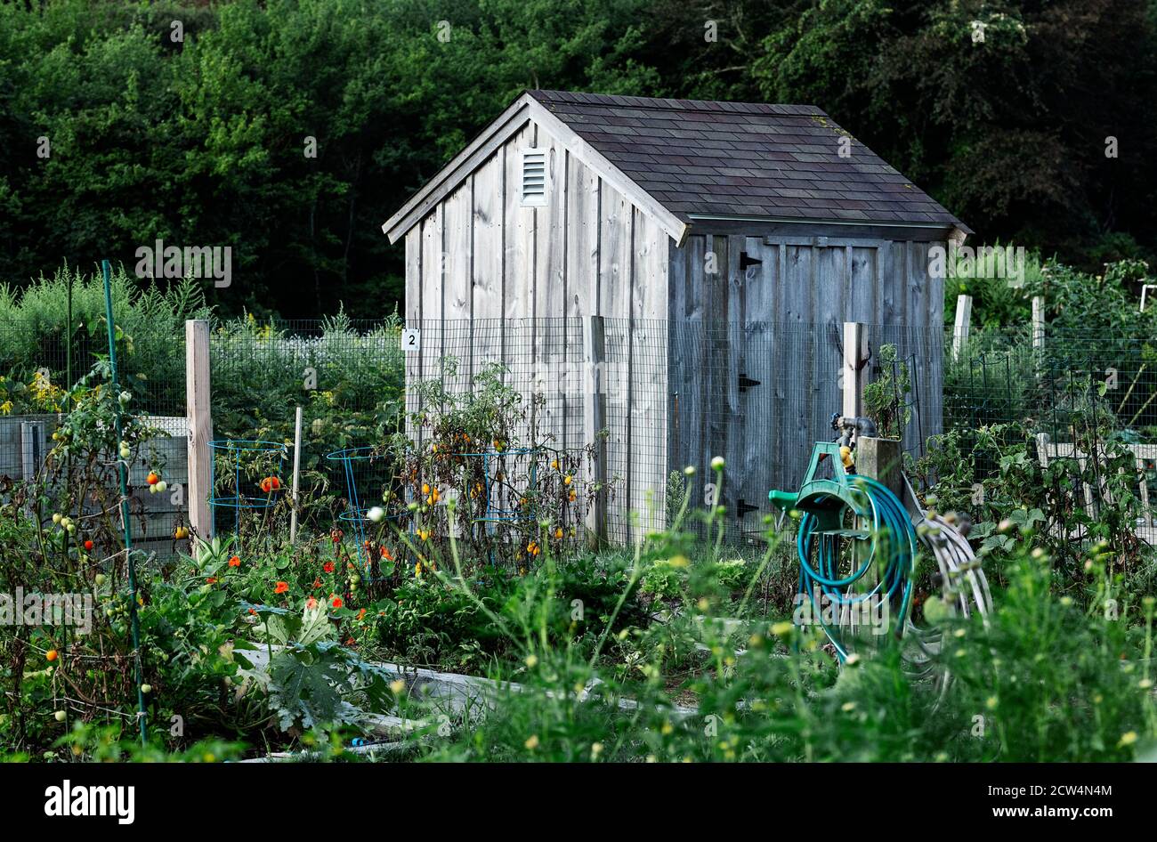 Brewster comunità giardino utensile shed. Foto Stock