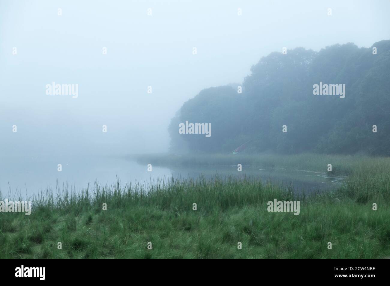 Mill Pond avvolta nella nebbia mattutina, Orleans, Cape Cod, Massachusetts, USA. Foto Stock