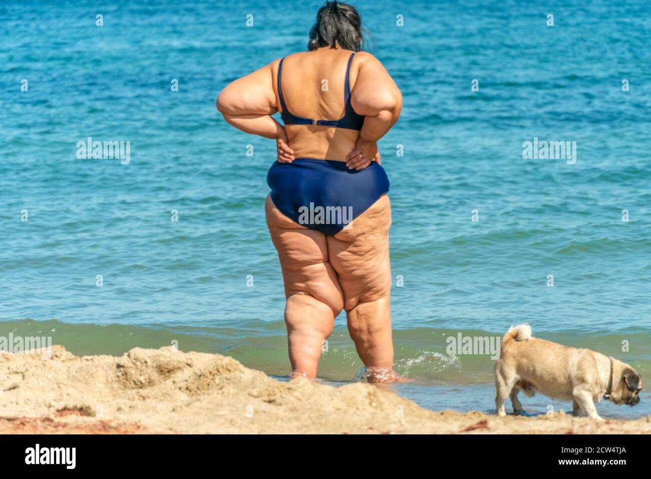 pump donna in un costume da bagno si trova sulla spiaggia con un cane pug e  guarda in lontananza del mare. Persona irriconoscibile. Foto dal retro Foto  stock - Alamy