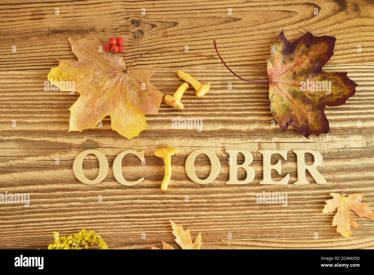 Foglie d'acero e mushrooms autunnali nelle giornate di sole. Ottima texture stagionale con atmosfera autunnale. Natura sfondo ottobre con caratteri a mano ottobre. Sig. Ottobre Foto Stock