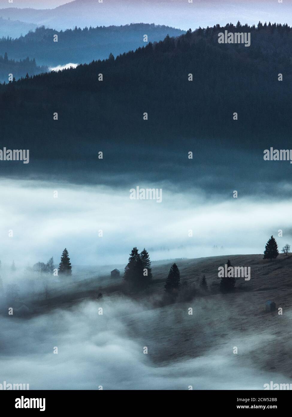 Paesaggio nebby panorama.Foggy nuvole sopra alberi di foresta. Foto Stock
