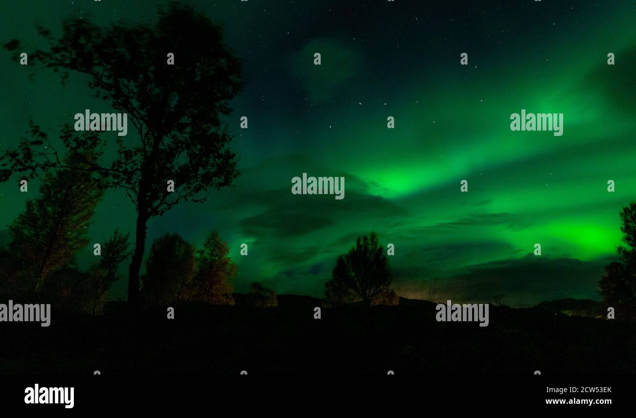 Aurora borealis che danzano sopra il cielo norvegese Foto Stock