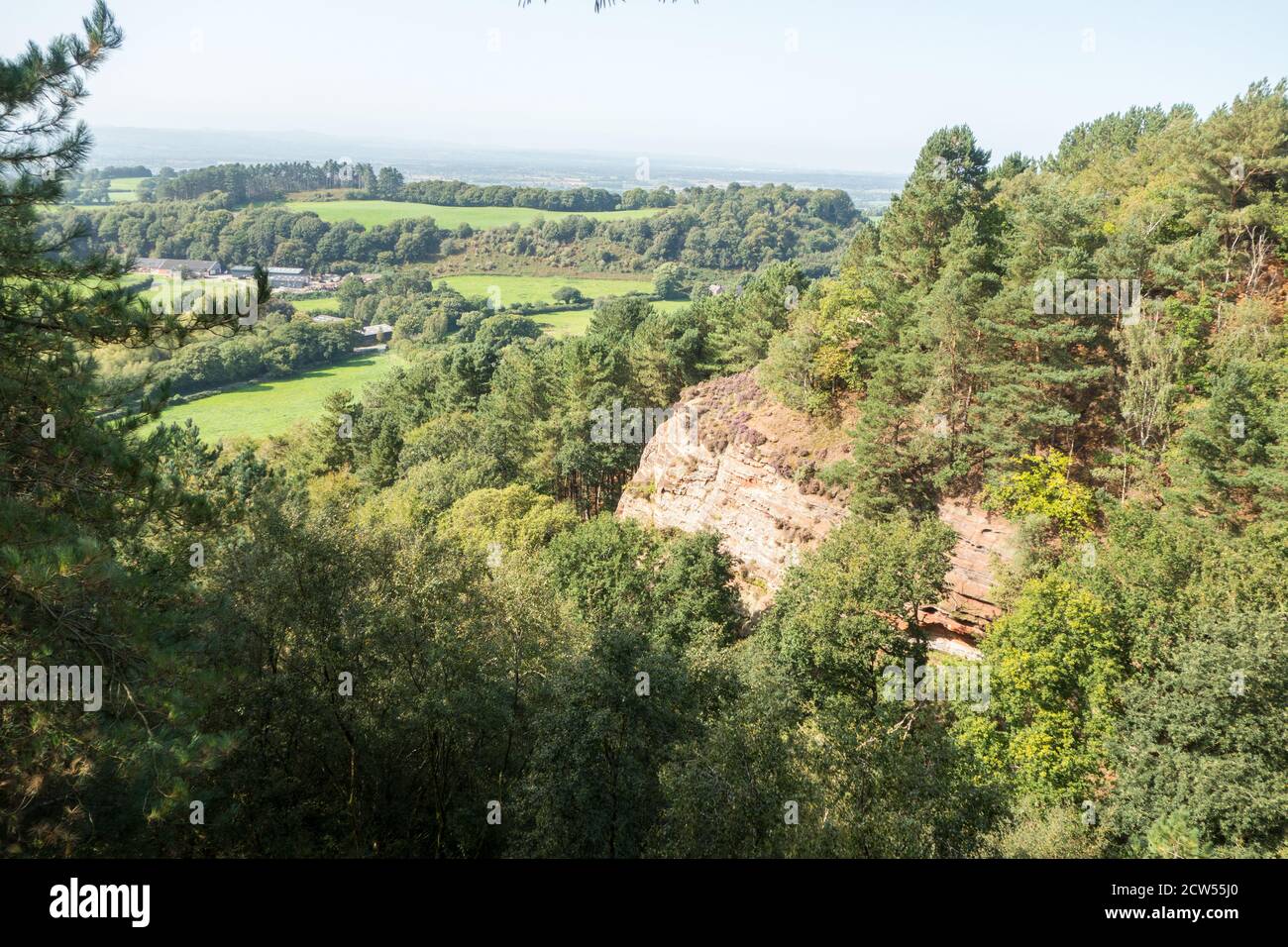 Vista della pianura di Cheshire dal sentiero in arenaria AS Passa sopra Bickerton Hills a South Cheshire Foto Stock