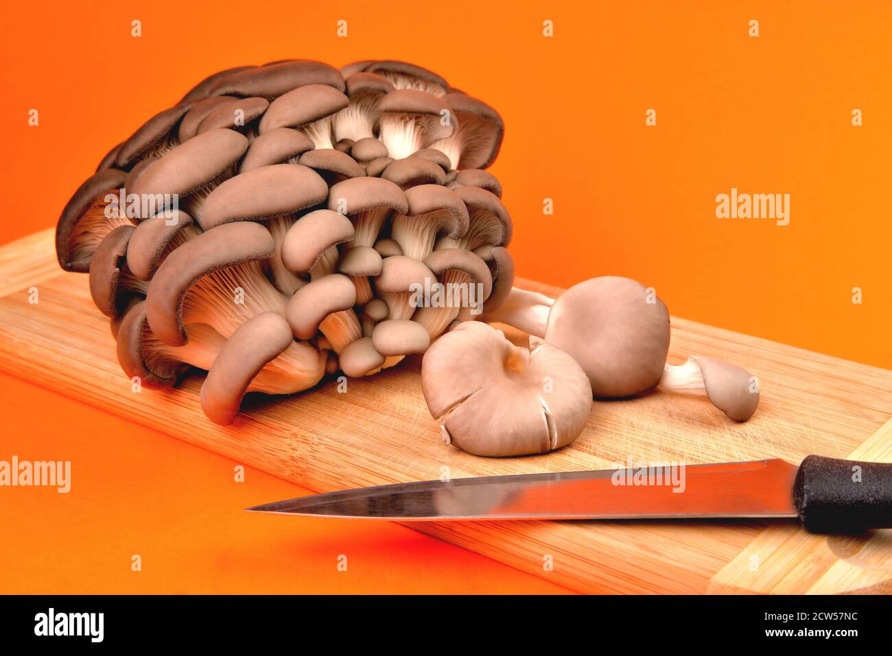 Funghi di ostrica naturali commestibili, tavola di bambù e coltello da cucina per affettare, su sfondo arancio, funghi per cucinare e marinate, primo piano e c Foto Stock