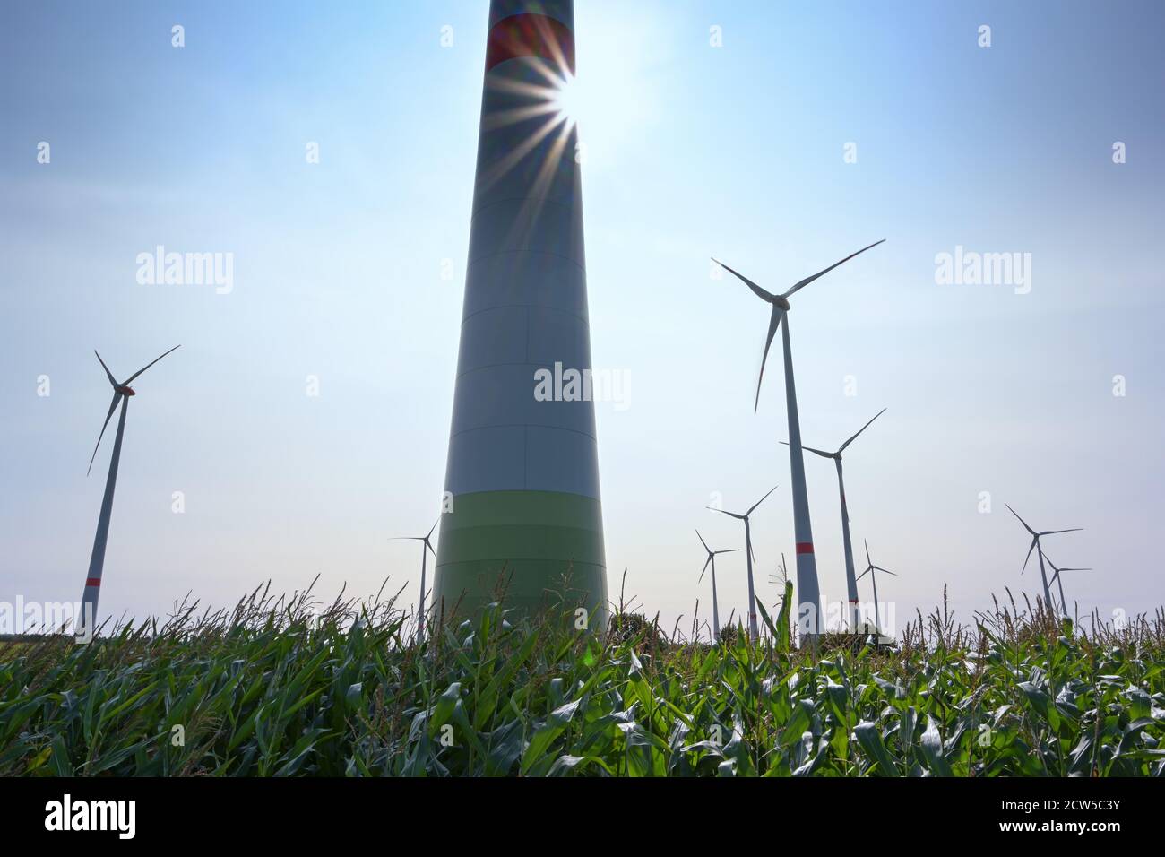 Turbine eoliche alte su un campo di mais in retroilluminazione contro un cielo blu con un concetto di stella solare, energia rinnovabile nel nord della Germania, copia spazio, selezionato Foto Stock