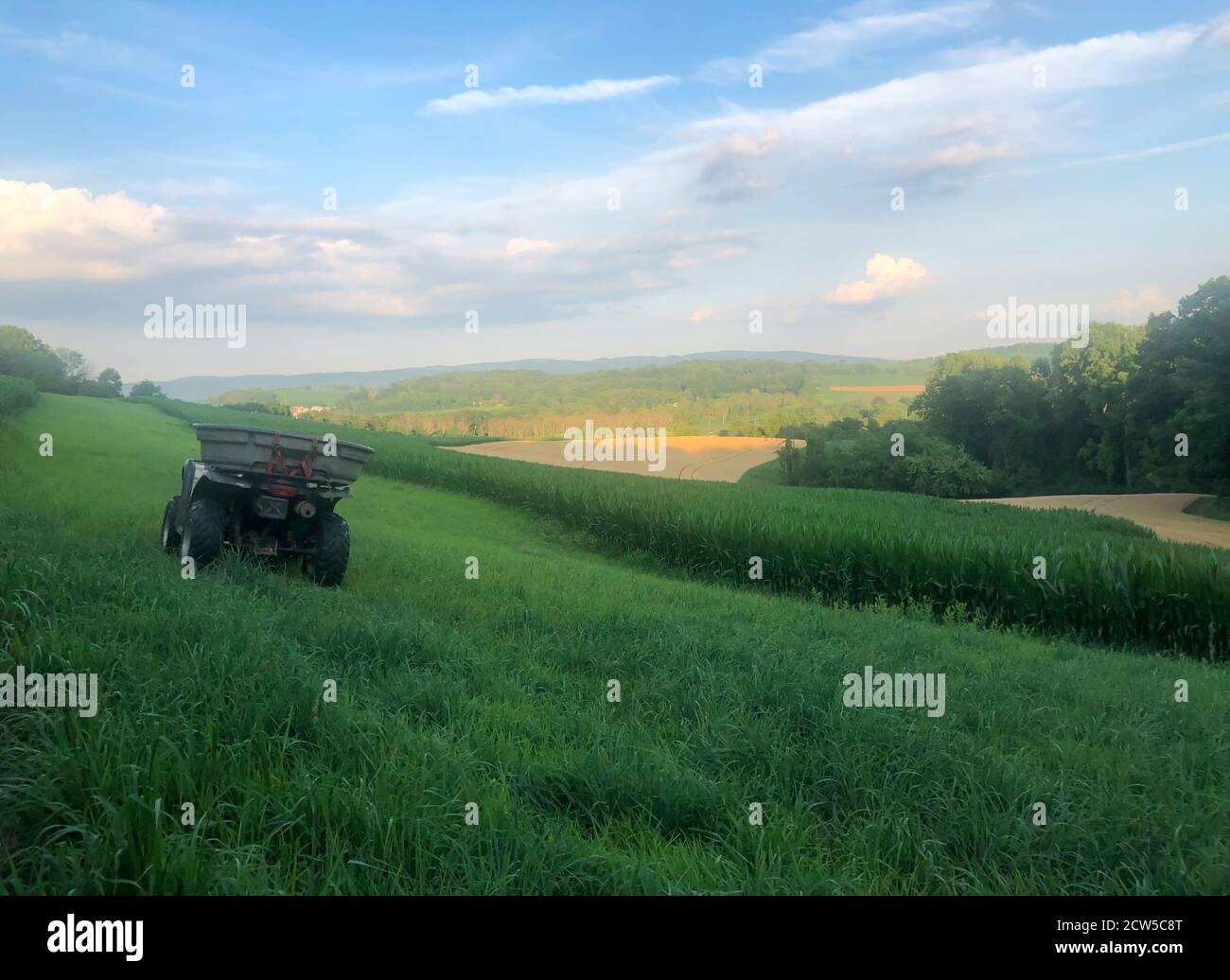 La collina verde incontra i campi di grano giallo all'orizzonte di questo tranquillo e idilliaco paesaggio rurale. Il veicolo fuoristrada si trova fuori centro. Foto Stock