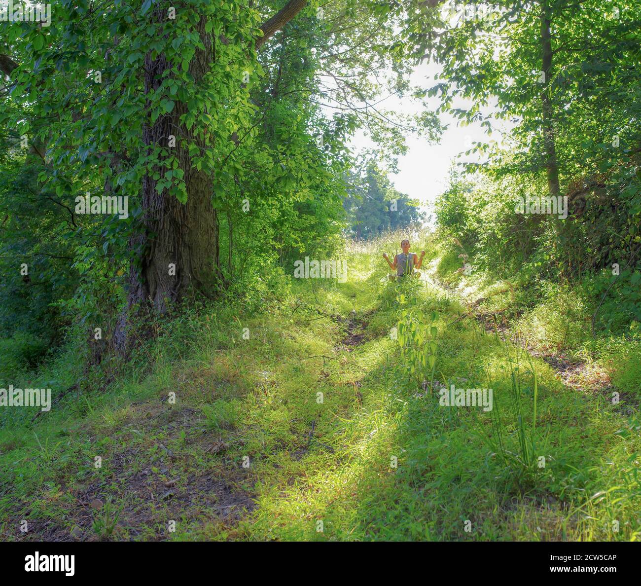 Una donna si siede nell'erba meditando lungo un sentiero verde della foresta in luce del sole. Foto Stock