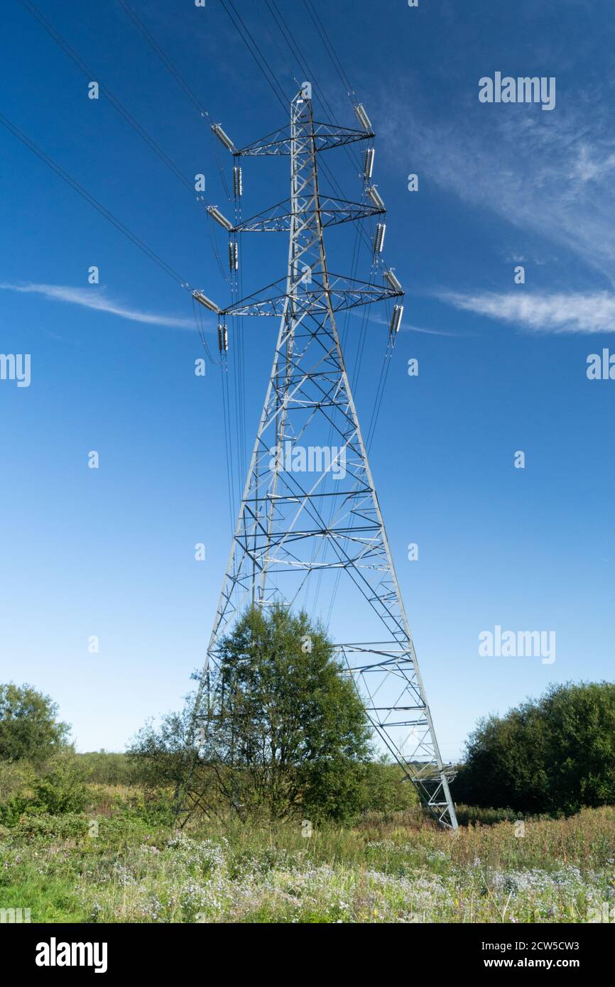 Pilone elettrico che trasporta linee elettriche di rete in campagna, Inghilterra Regno Unito Foto Stock