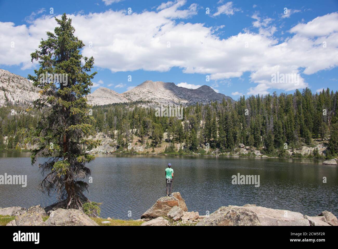 Pesca nella Wind River Range, Wyoming, USA Foto Stock