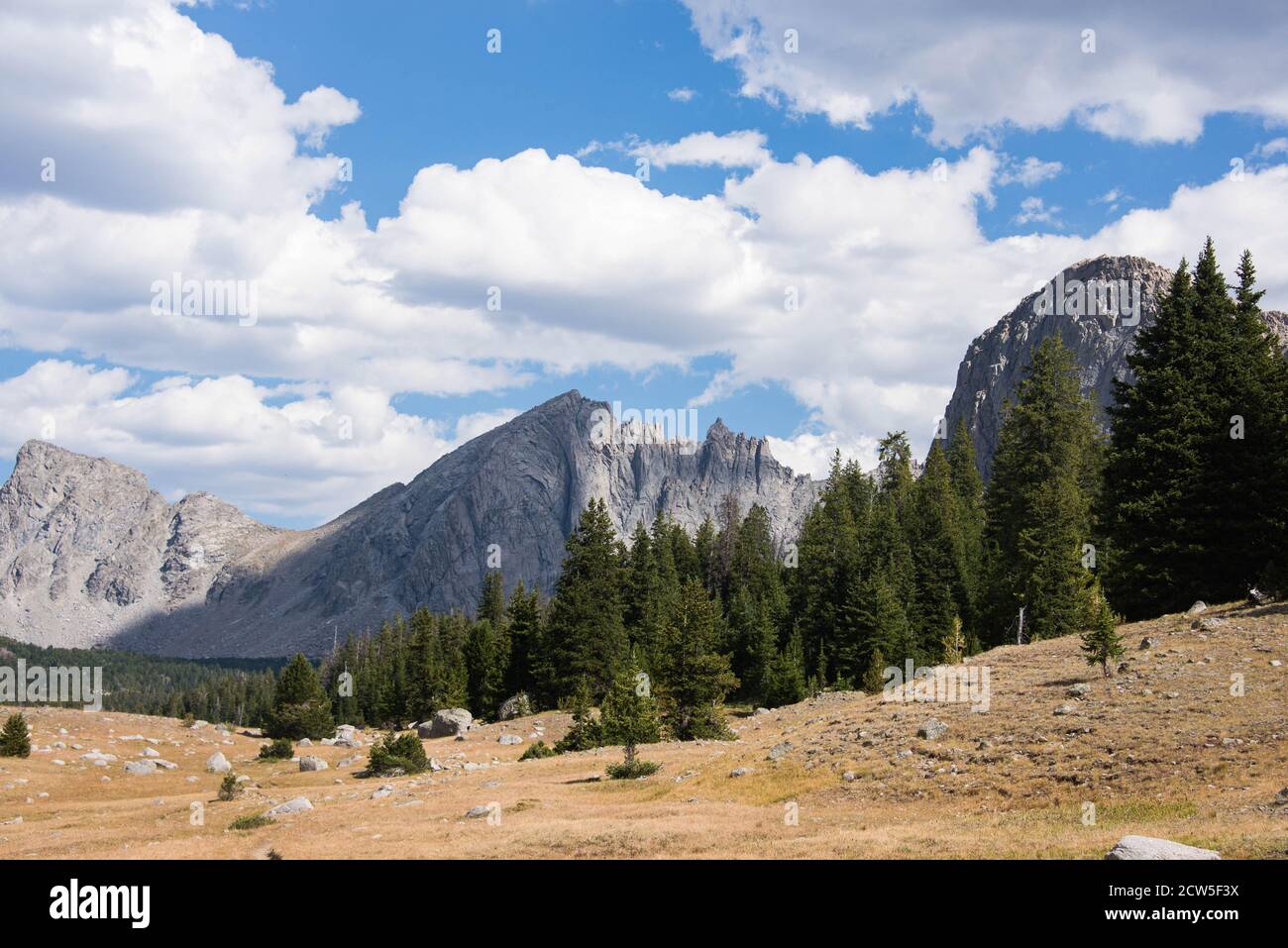 Splendida vista sulla Wind River Range, Wyoming, Stati Uniti Foto Stock