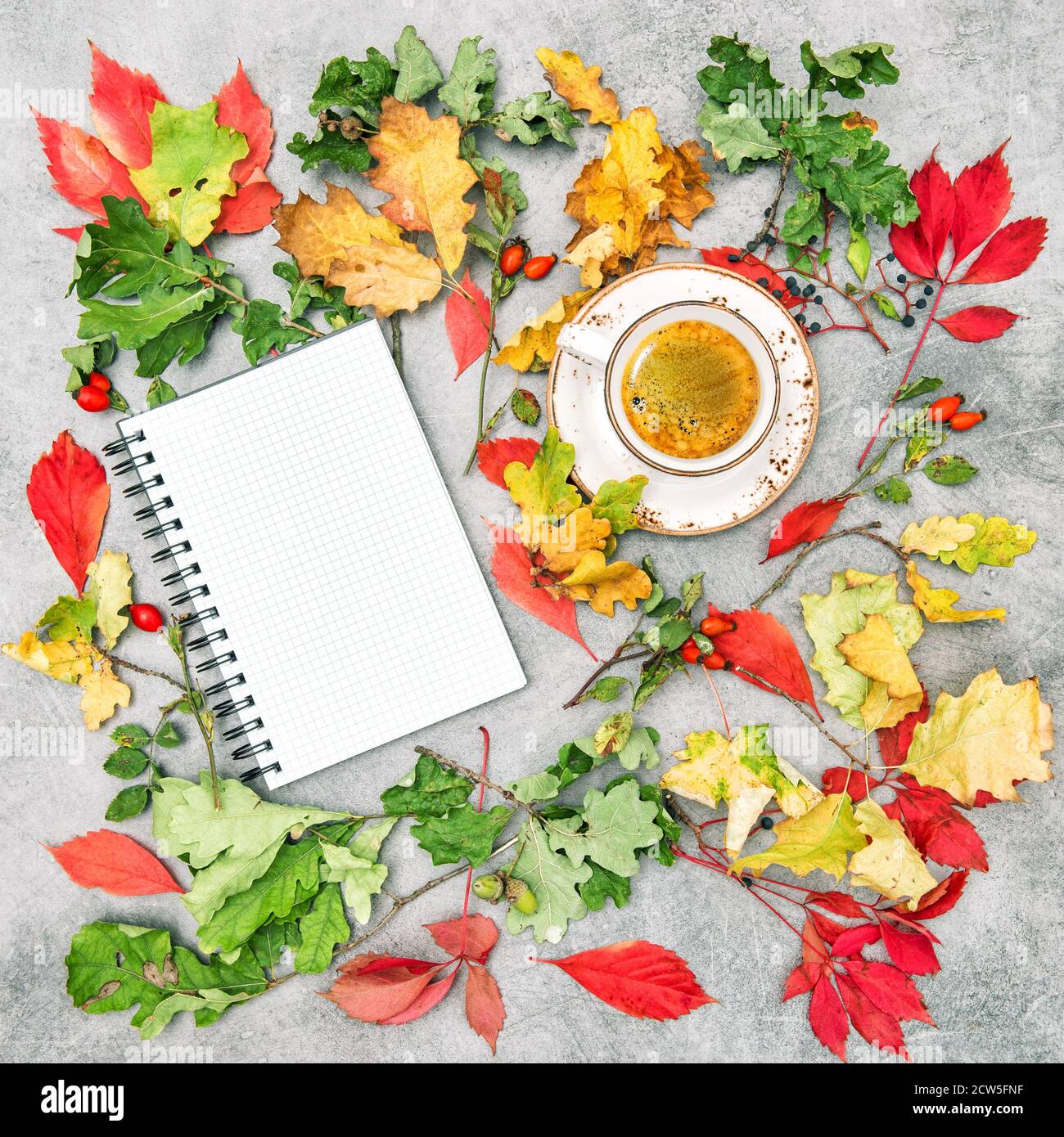 Carta e caffè nero. Autunno caduta piatto posare Foto Stock