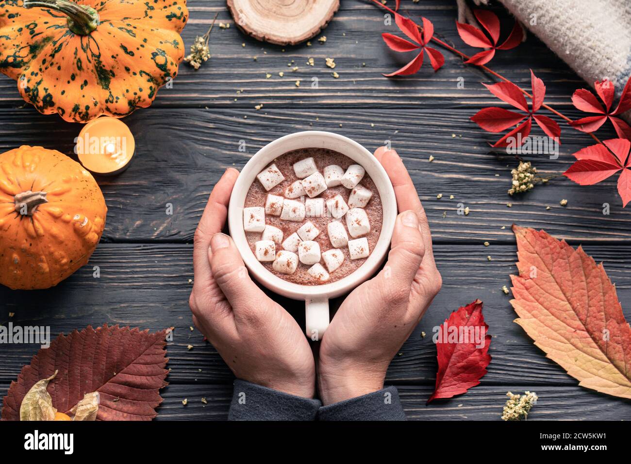 Le mani femminili tengono il marshmallow della tazza di cacao sull'autunno autunno accogliente sfondo vista dall'alto. Foto Stock
